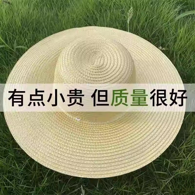 草帽大号男士农用防晒遮阳户外工地大檐大沿女帽农民田园渔夫帽子