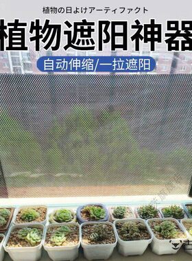植物遮阳神器夏季阳台多肉花卉专用防晒帘窗户玻璃伸缩隔热遮光罩