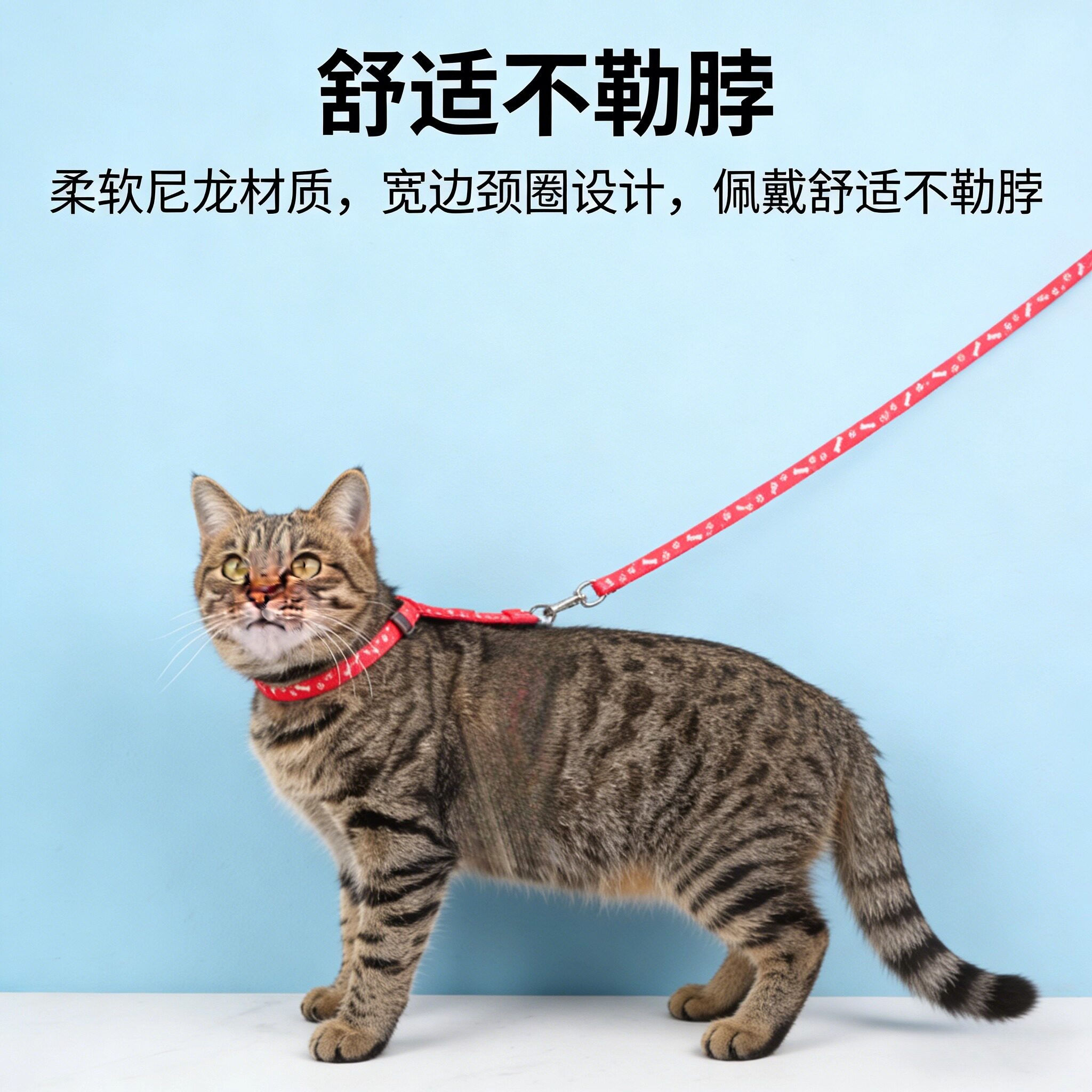拴猫绳套脖防挣脱猫咪牵引不勒脖外出专用遛猫神器猫项圈新款实用