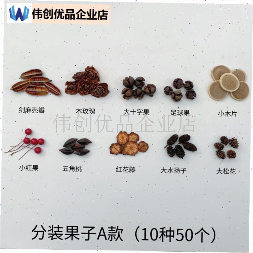 天然植物a果实果jn壳标本材料树叶装饰冰箱贴橡果松果幼儿园diy,