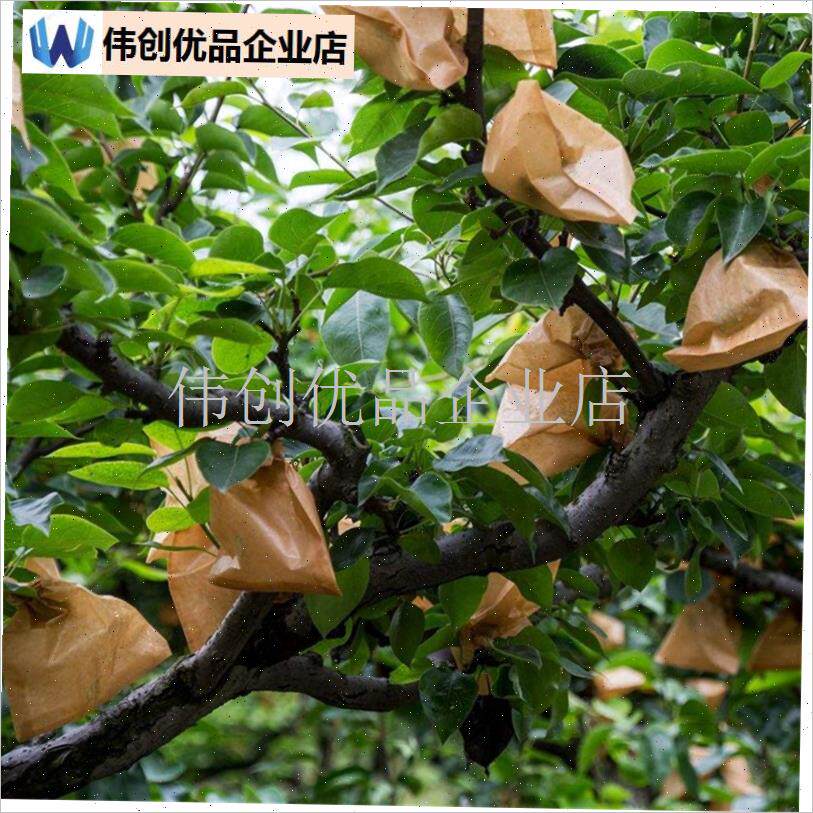 梨子套袋专用袋包l苹果的纸袋子橘子桃子枇杷果树水果防虫保护套,