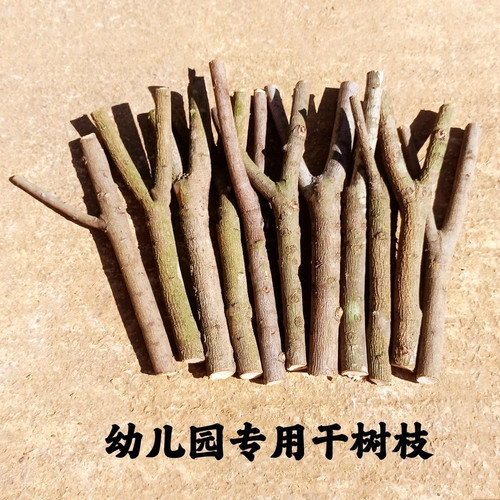 幼儿园手工材料树杈儿童创意材料手工Y型树枝实木干树枝diy分叉