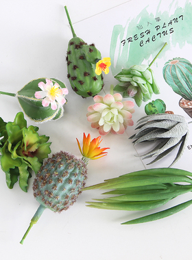 仿真多肉植物绿色仙人掌店铺装饰墙面假花塑料家居客厅装饰品摆件