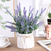 北欧小盆景客厅仿真绿色植物装 饰假花盆栽茶几办公桌摆件创意家居