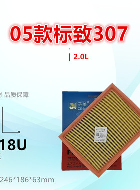 P118U适配标致307 308 408 凯旋 世嘉 C4 毕加索 2.0L空气滤芯