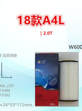 W6002Z/1适配18款A4L A3 A5 A6L A7 A8L Q3 Q5 Q6 Q7 Q8 机油滤芯