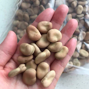 干大豆子 raw foul 生干蚕豆 beans 散装 broad 2.5kg 2斤