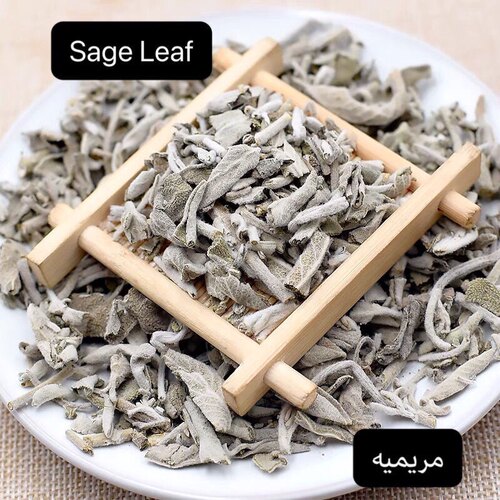 鼠尾草sageleaves香料