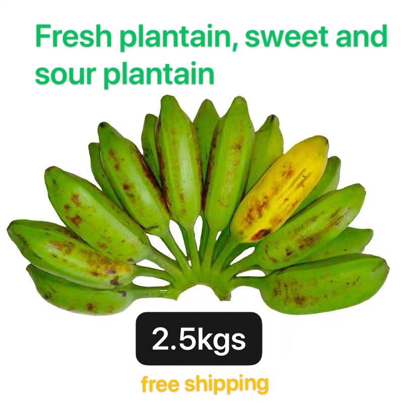 Fresh plantain 芭蕉sweet sour plantain oxhorn banana 2.5kg