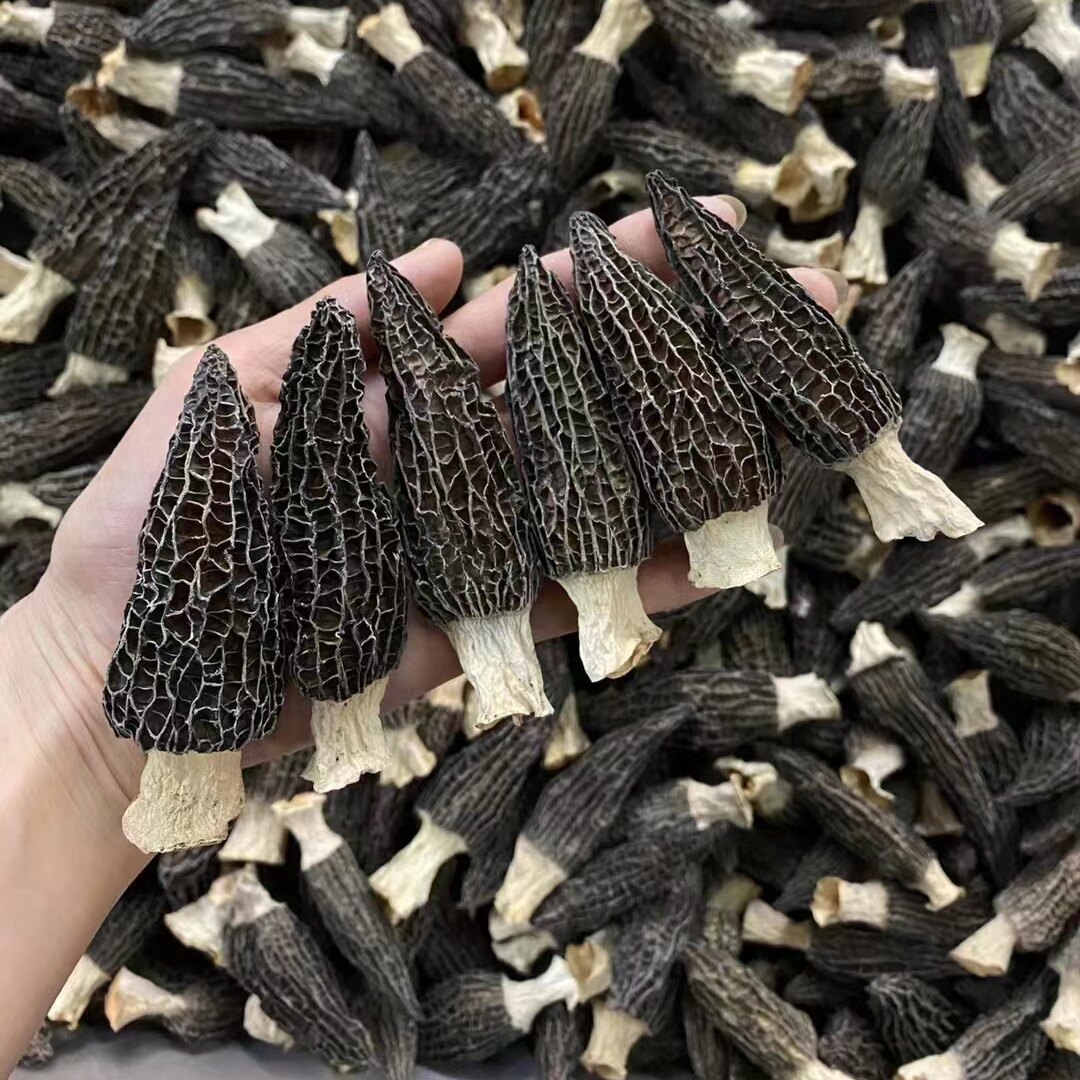 羊肚菌 仿野生干货500g云南特产菌种菇炖汤料 新鲜干晒蘑菇菌煲汤