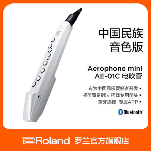 Roland罗兰白色吹管乐器