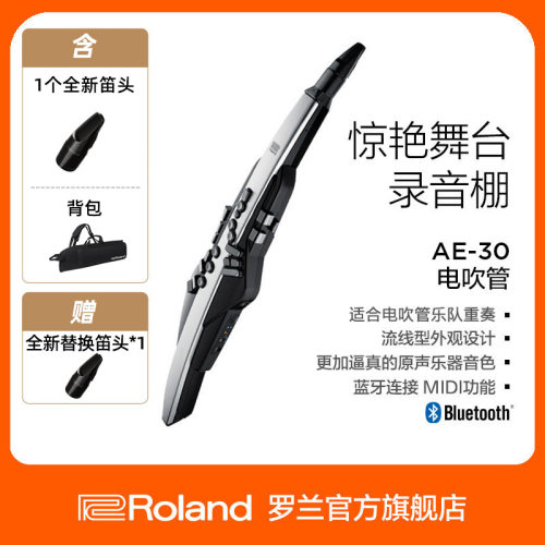 Roland罗兰AE-30萨克斯吹管乐器