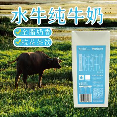 广西西江全脂水牛奶1L商用