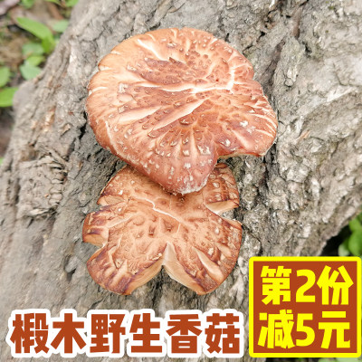 香菇干货250g精选椴木