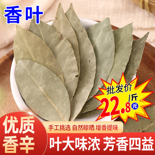 优质广西香叶月桂叶卤菜增香