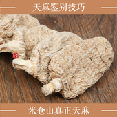 野天麻干 四川米仓山 天麻50g 精选春天麻挖天麻农家晒干天麻