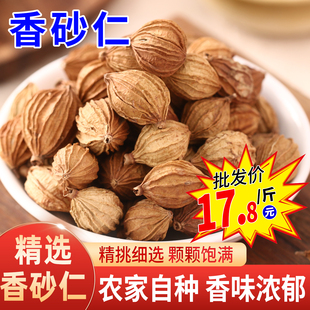 香砂仁四川川砂仁500g商用批发香料卤肉炖肉香辛料香砂果草果粉
