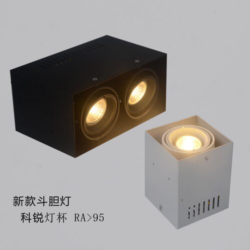 LED斗胆灯方形单头明装双头COB射灯格栅灯豆胆灯客厅卧室