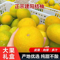 建阳桔柚新鲜当应季水果甜橘柚水果小桔子柚子黄心薄皮含纸箱10斤