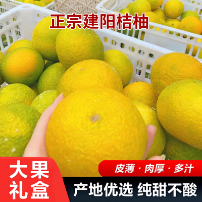 新鲜桔柚水果建阳桔柚