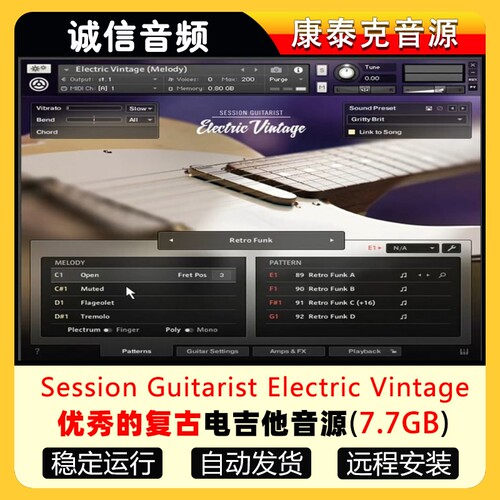 复古电吉他音源Session Guitarist Electric Vintage电吉他音色