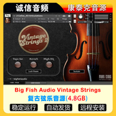 复古弦乐音源Big Strings康泰克音源 Vintage Fish Audio