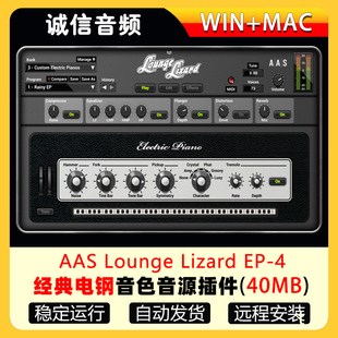经典 Lizard Lounge 4铺底电钢物理建模 电钢音色音源插件AAS