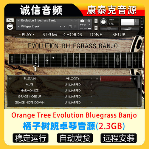 橘子树班卓琴音源Orange Tree Evolution Bluegrass Banjo