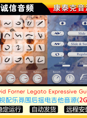 配乐氛围后摇电吉他音源David Forner Legato Expressive Guitar