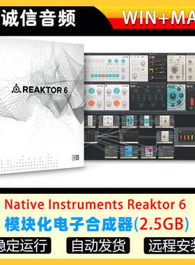 模块化电子合成器-NI Reaktor 6 WIN-MAC