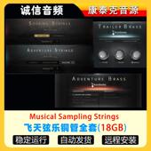 Strings音源 Soaring 4套飞天弦乐铜管全套音源Musical Sampling