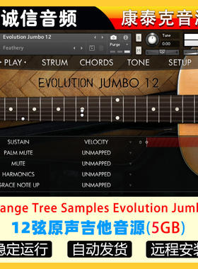 12弦原声吉他音源-Orange Tree Samples Evolution Jumbo 12