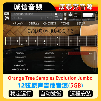 12弦原声吉他音源-Orange Tree Samples Evolution Jumbo 12