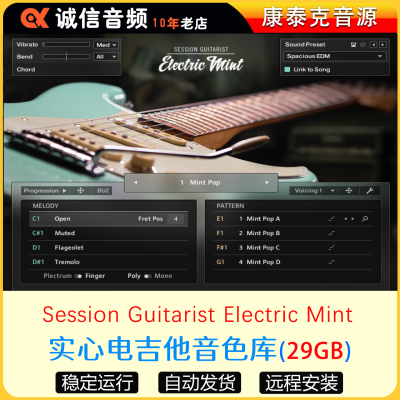 2022实心电吉他音色库-Session Guitarist Electric Mint Library