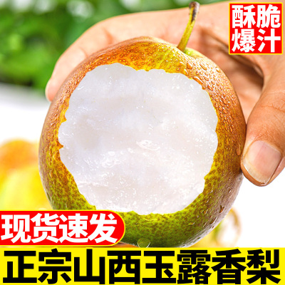正宗玉露香梨9斤精品大果