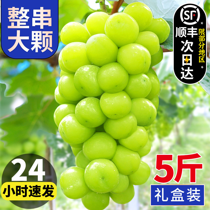 阳光玫瑰葡萄5斤晴王水果新鲜应当季整箱礼盒香印青提子3顺丰包邮怎么看?