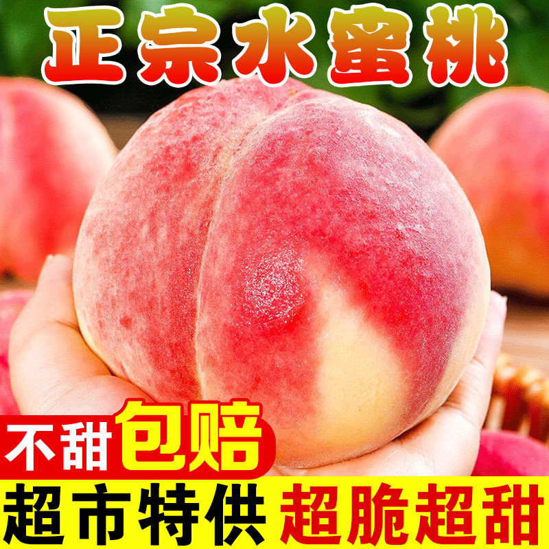 【26年头茬】正宗水蜜桃脆甜桃子整箱现摘毛桃软桃新鲜孕妇水果 - 实物图