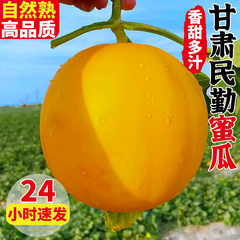 甘肃民勤黄河蜜瓜甜瓜水果新鲜当季整箱黄金蜜香瓜沙漠红金宝D