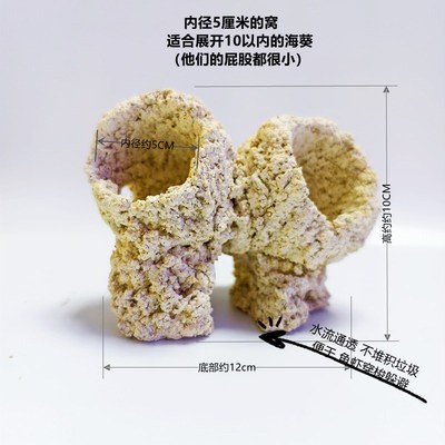 奶嘴山造景窝珊瑚防跑躲避罐小缸微缸造景爪哇基拉戈干岩石锐焦造