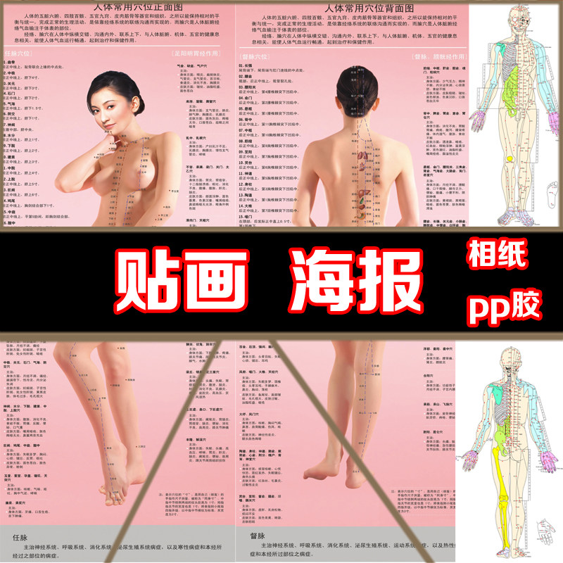 人体穴位图养生全身理疗装饰画
