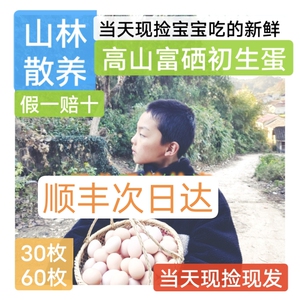 散养正宗九华山富硒初生蛋宝宝放心蛋顺丰包邮30-40克/枚