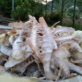 九华山冬笋干货500克2025年新鲜干货