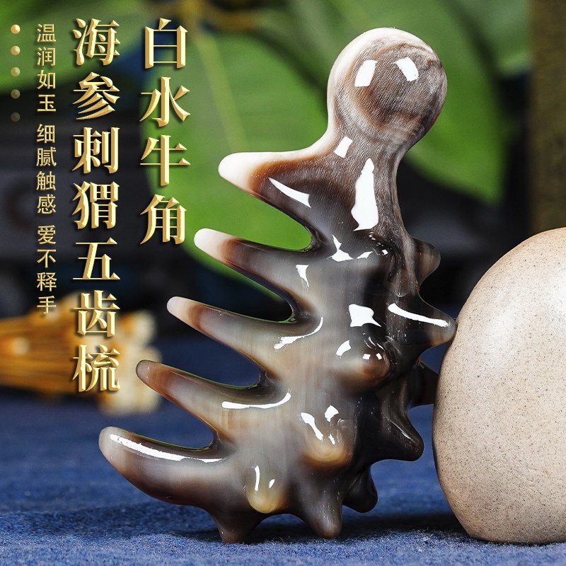 天然白水黑金刚海参刺猬五齿梳头皮长粗齿按摩器经络细齿正品工具