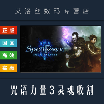 steam正版咒语力量3灵魂收割