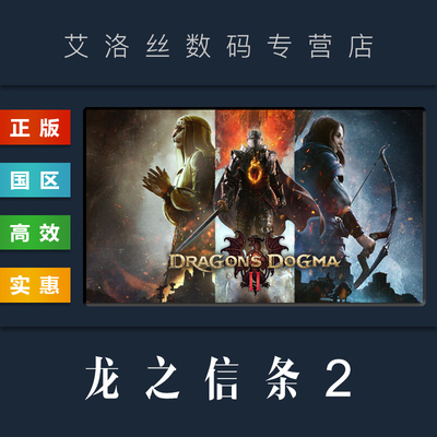 steam平台正版游戏龙之信条2