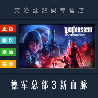 PC中文正版 steam平台 国区 游戏 德军总部3 新血脉 Wolfenstein Youngblood 豪华版 德军总部新血液 激活码