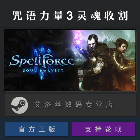 PC中文正版 steam平台 国区 联机游戏 咒语力量3灵魂收割 SpellFo