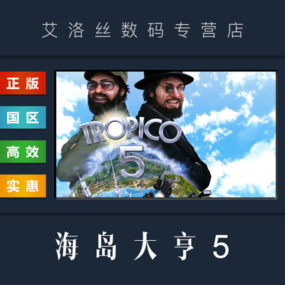 steam平台正版游戏海岛大亨5