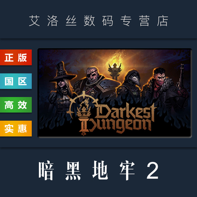 steam平台正版游戏暗黑地牢2