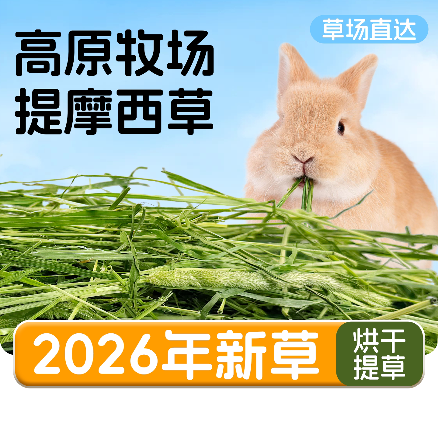 26年特级烘干提摩西草兔子草提摩西干草荷兰猪豚鼠兔草烘干草饲料